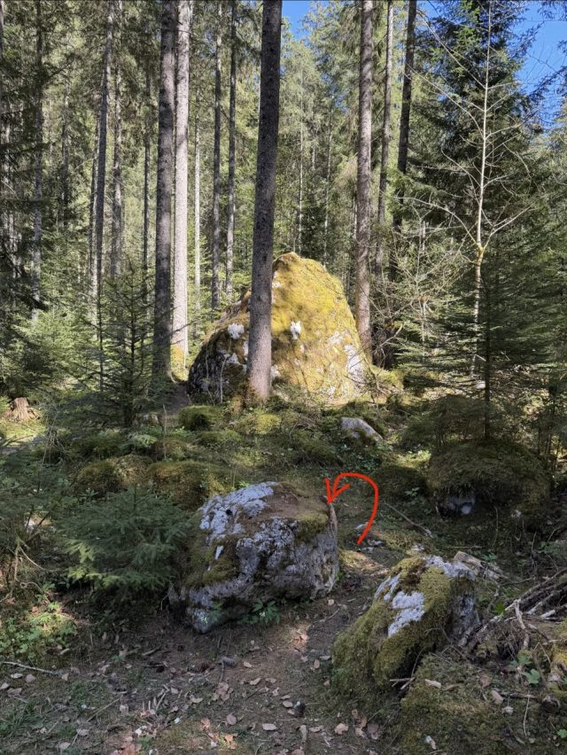 Hand-painted penguin stone #1198 hidden at Vorderer Gosausee, Gosauseen, Austria (photo 5 of 5)