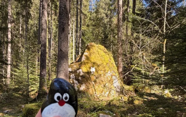 Ručne maľovaný tučniakový kameň č. 1198 ukrytý na mieste Vorderer Gosausee, Gosauseen, Rakúsko