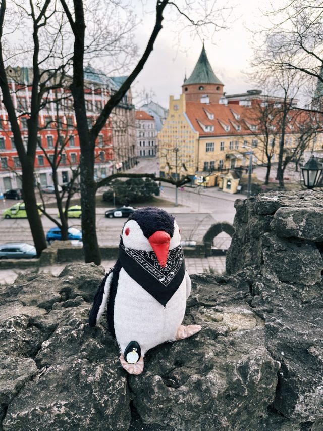 Hand-painted penguin stone #120 hidden at Bastejkalna Park, Riga, Latvia (photo 2 of 4)