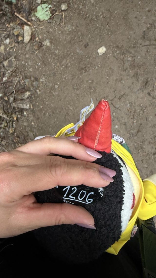 Hand-painted penguin stone #1206 hidden at Monastery of St. Andrea, Matka Canyon, North Macedonia (photo 2 of 5)