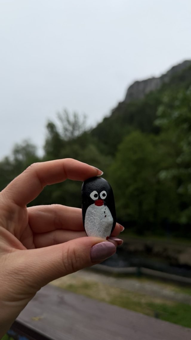 Hand-painted penguin stone #1209 hidden at Rocks, Matka Canyon, North Macedonia (photo 2 of 5)