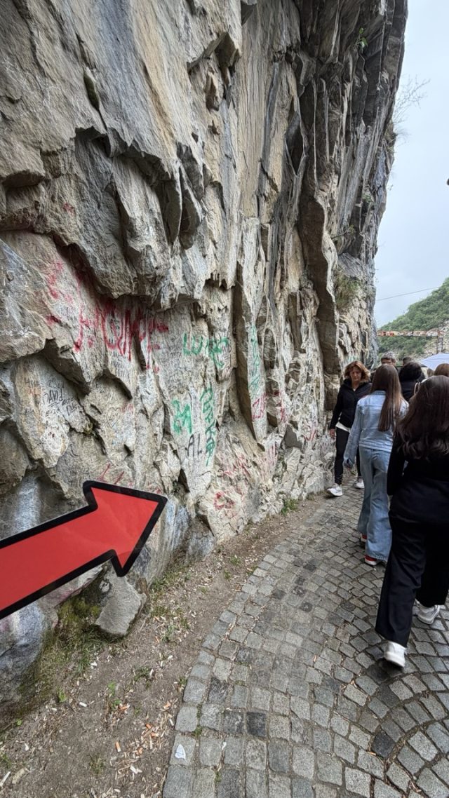 Hand-painted penguin stone #1209 hidden at Rocks, Matka Canyon, North Macedonia (photo 4 of 5)