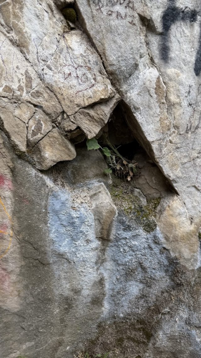 Hand-painted penguin stone #1209 hidden at Rocks, Matka Canyon, North Macedonia (photo 5 of 5)