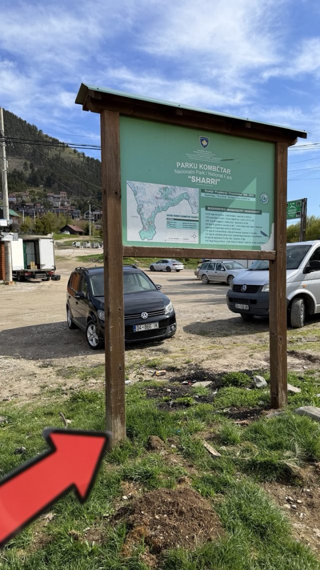 Hand-painted penguin stone #1212 hidden at Prevalla Kosove, Prevalla, Kosovo (photo 4 of 4)