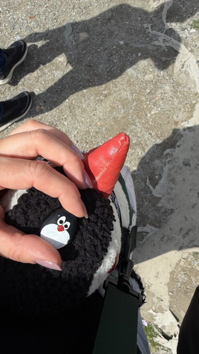 Hand-painted penguin stone #1215 hidden at Viewpoint, Prizren Fortress, Kosovo (photo 3 of 5)