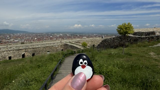 Hand-painted penguin stone #1215 hidden at Viewpoint, Prizren Fortress, Kosovo (photo 4 of 5)