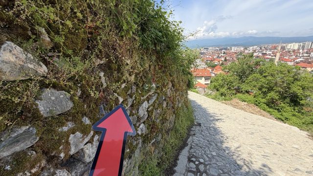 Hand-painted penguin stone #1225 hidden at Walkway to the Citadel, Prizren, Kosovo (photo 5 of 5)