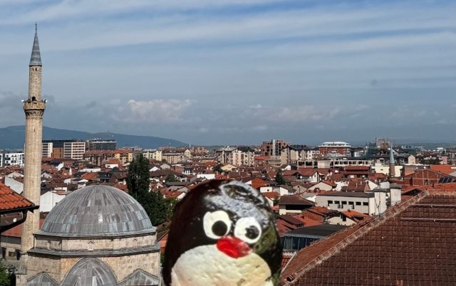 Hand-painted penguin stone #1225 hidden at Walkway to the Citadel, Prizren, Kosovo