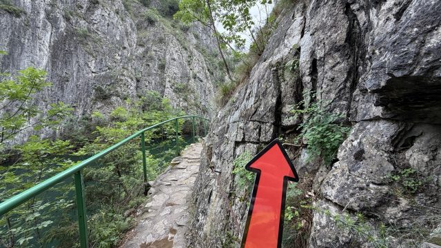 Hand-painted penguin stone #1274 hidden at Rock Wall, Matka Canyon, North Macedonia (photo 4 of 4)
