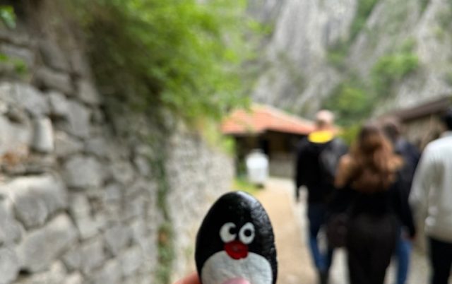 Ručne maľovaný tučniakový kameň č. 1297 ukrytý na mieste Ticket Booth, Matka Canyon, Severné Macedónsko