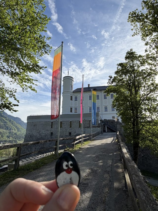 Hand-painted penguin stone #1300 hidden at Schloss Trautenfels, Purgg, Austria (photo 3 of 5)
