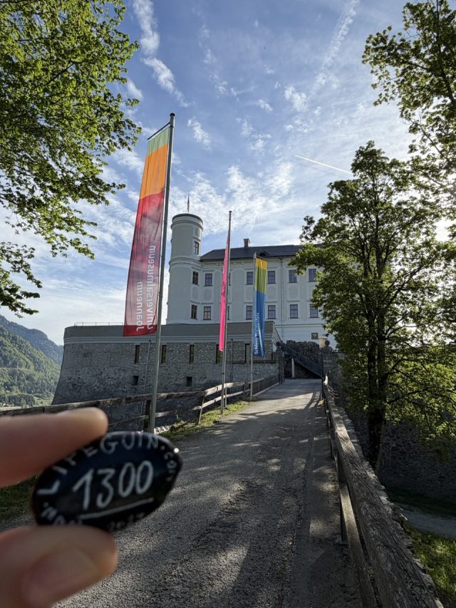Hand-painted penguin stone #1300 hidden at Schloss Trautenfels, Purgg, Austria (photo 4 of 5)