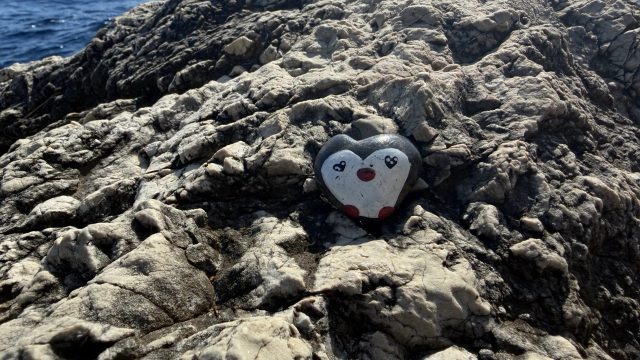 Hand-painted penguin stone #1461 hidden at Bonivonno Beach, Dubrovnik, Croatia (photo 2 of 5)