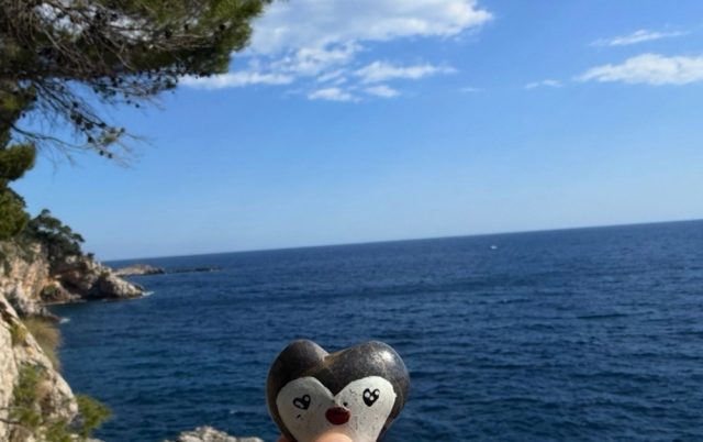 Hand-painted penguin stone #1461 hidden at Bonivonno Beach, Dubrovnik, Croatia