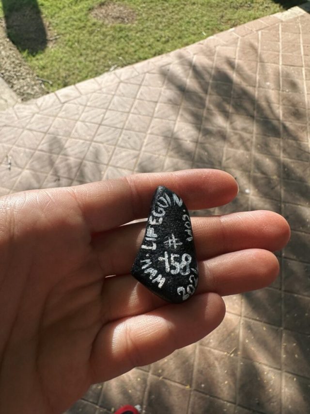 Hand-painted penguin stone #158 hidden at Mabel Chocolates, La Romana, Dominican Republic (photo 3 of 5)