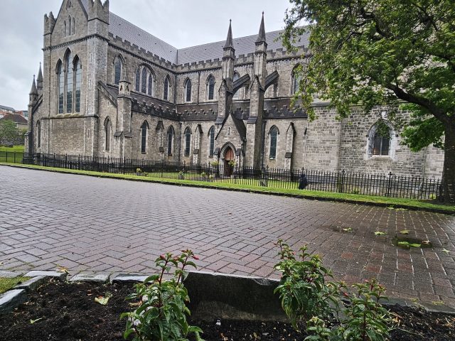 Hand-painted penguin stone #171 hidden at St Patrick's Cathedral, Dublin, Ireland (photo 4 of 4)