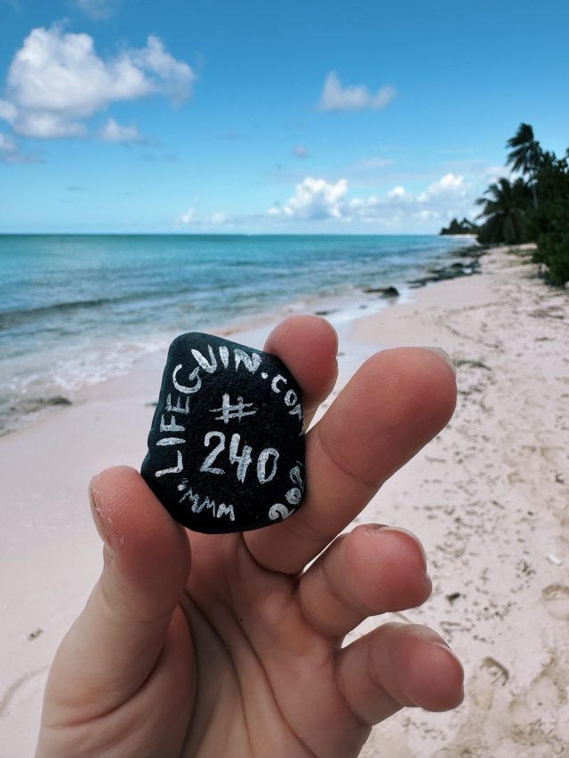Hand-painted penguin stone #240 hidden at Playa el Toro, Saona Island, Dominican Republic (photo 2 of 4)