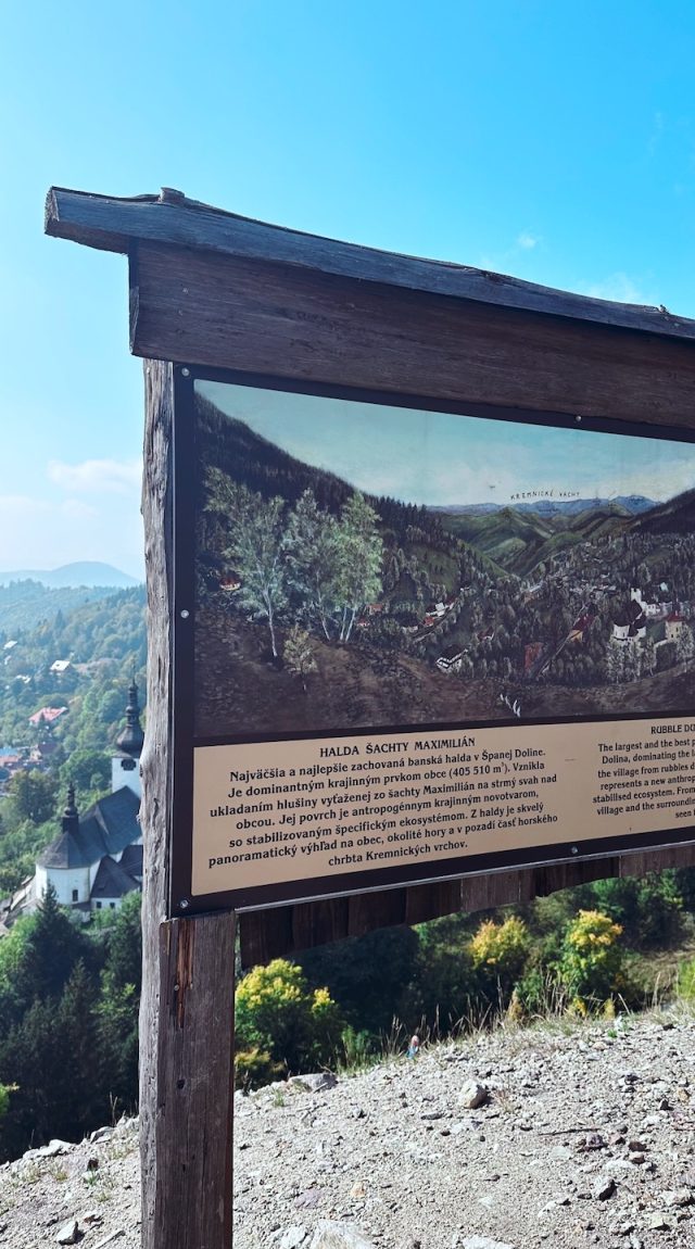 Hand-painted penguin stone #27 hidden at Halda Maximilian viewpoint, Spania Dolina, Slovakia (photo 2 of 4)