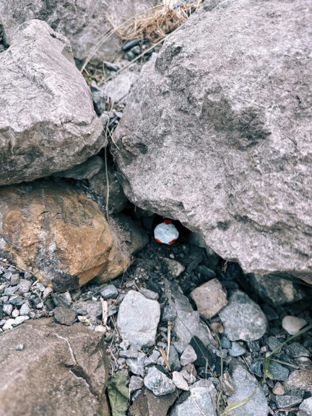 Hand-painted penguin stone #276 hidden at Way to the Castle, Vaduz, Liechtenstein (photo 3 of 3)