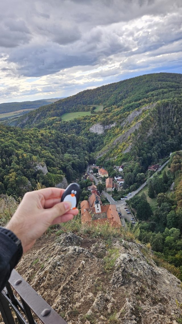 Hand-painted penguin stone #284 hidden at St. John's Rock Wall, Svaty Jan pod Skalou, Czechia (photo 3 of 5)
