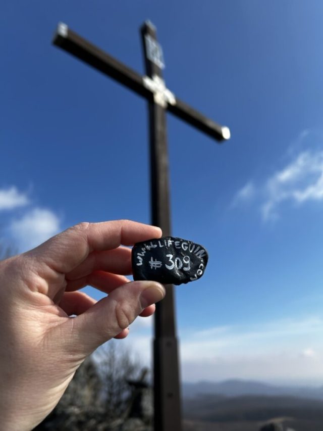 Hand-painted penguin stone #309 hidden at Vysoka, Little Carpathians, Slovakia (photo 3 of 4)