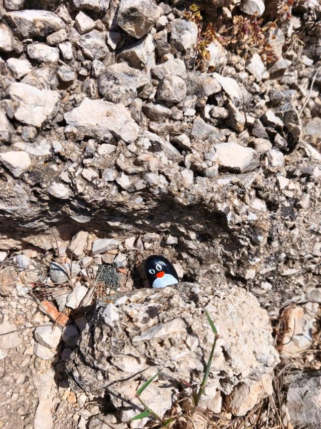Hand-painted penguin stone #325 hidden at Srd Mountain, Dubrovnik, Croatia (photo 3 of 5)
