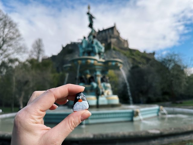 Hand-painted penguin stone #359 hidden at Ross Fountain, Edinburgh, United Kingdom (photo 2 of 5)