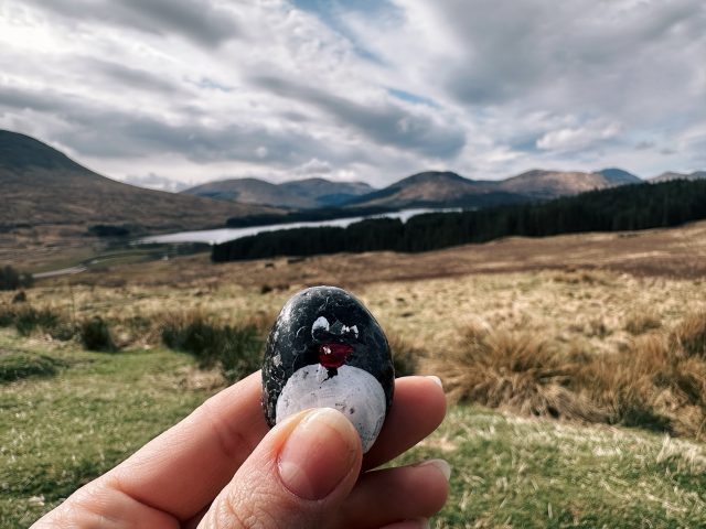 Hand-painted penguin stone #465 hidden at Tulla Viewpoint, Loch Tulla, United Kingdom (photo 2 of 4)