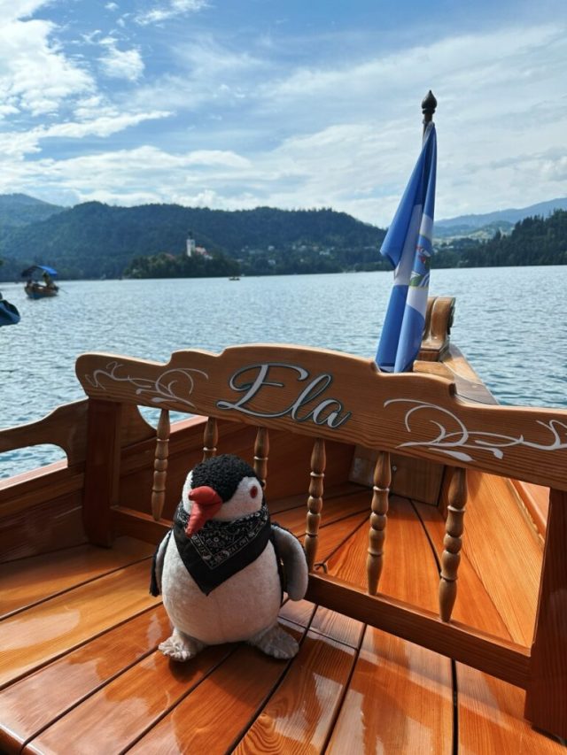 Hand-painted penguin stone #510 hidden at Bled Island, Bled, Slovenia (photo 2 of 4)