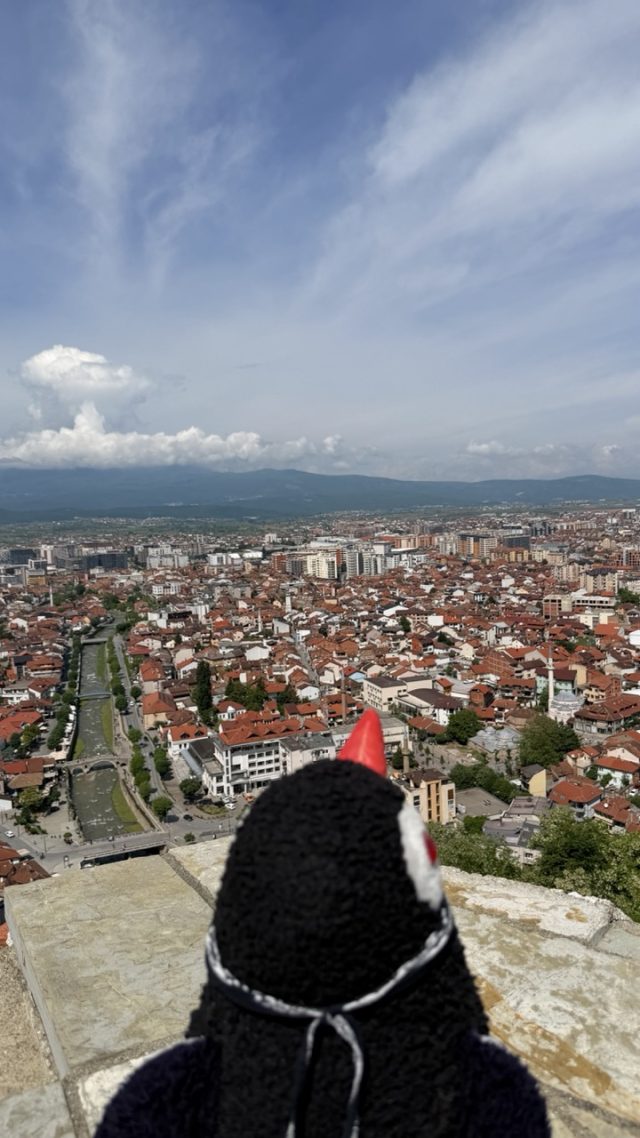 Hand-painted penguin stone #514 hidden at Prizren Fortress, Prizren, Kosovo (photo 5 of 5)
