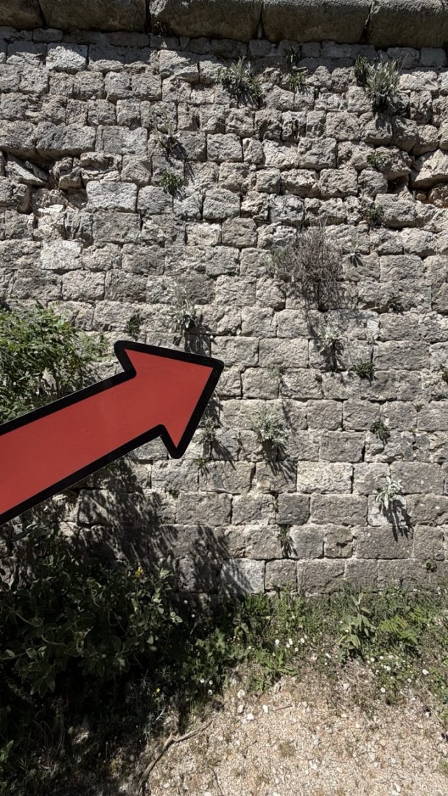 Hand-painted penguin stone #517 hidden at Fort Stone Wall, Dubrovnik, Croatia (photo 5 of 5)