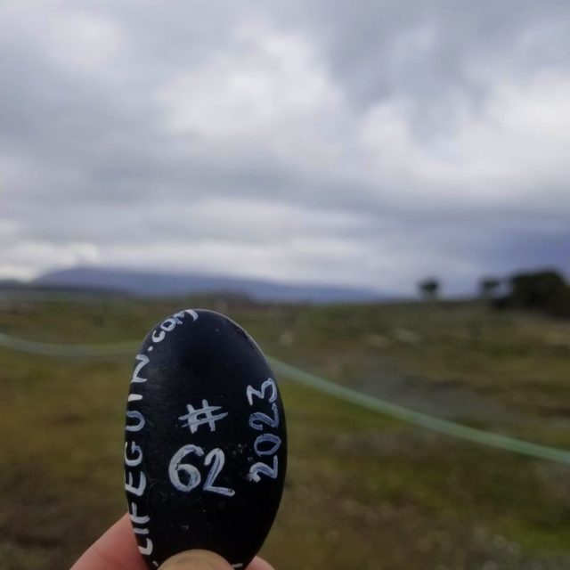 Hand-painted penguin stone #62 hidden at Parque Nacional Tierra del Fuego, Ushuaia, Argentina (photo 5 of 5)