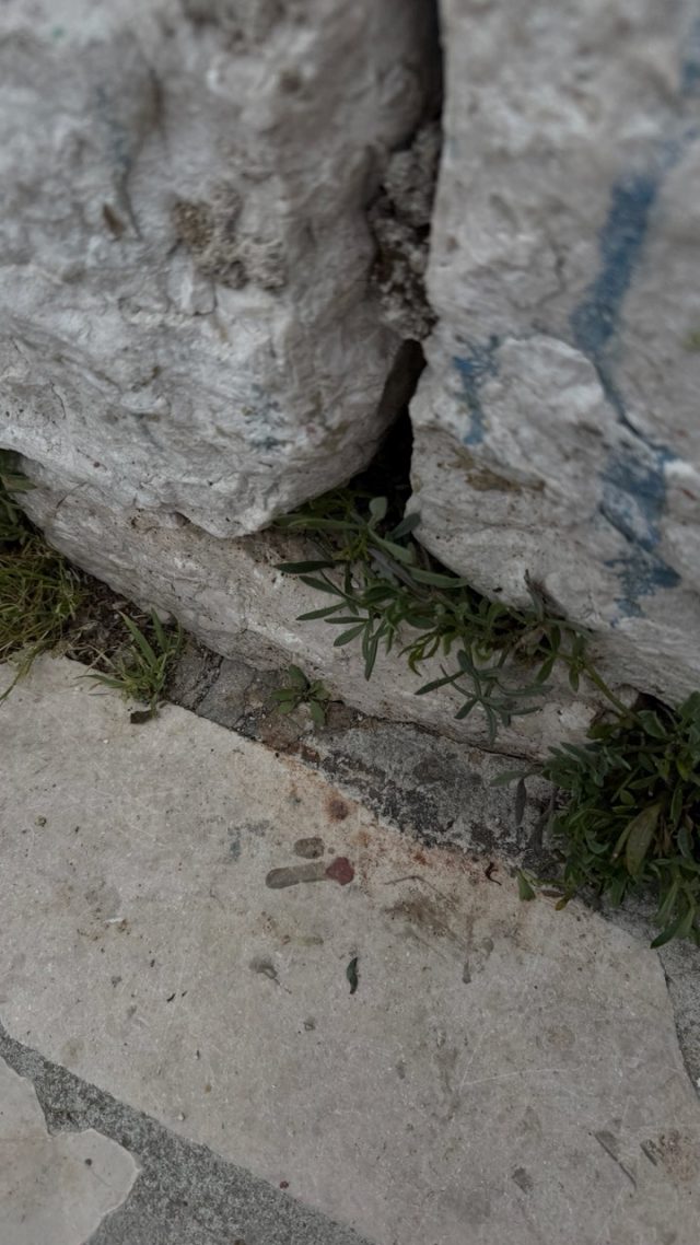 Hand-painted penguin stone #811 hidden at Boat Tours Port, Perast, Montenegro (photo 4 of 5)