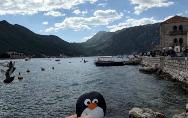 Hand-painted penguin stone #811 hidden at Boat Tours Port, Perast, Montenegro