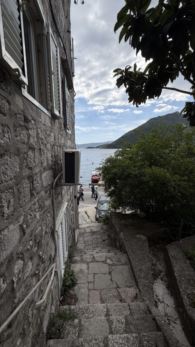 Hand-painted penguin stone #864 hidden at Old Tree, Perast, Montenegro (photo 5 of 5)