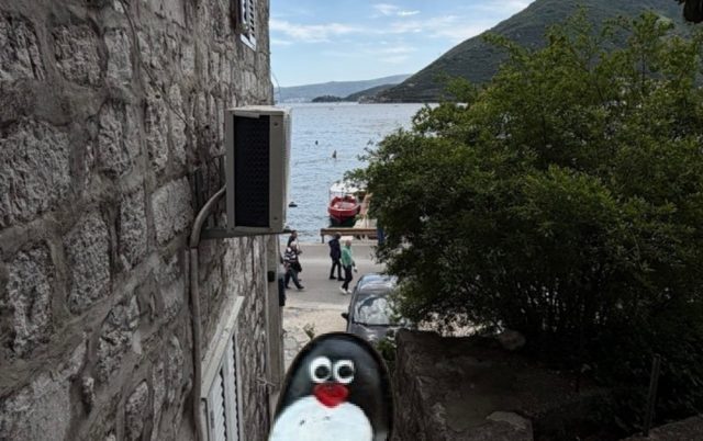 Hand-painted penguin stone #864 hidden at Old Tree, Perast, Montenegro