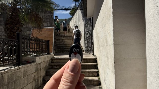 Hand-painted penguin stone #865 hidden at Kotor Town Walls, Kotor, Montenegro (photo 4 of 5)