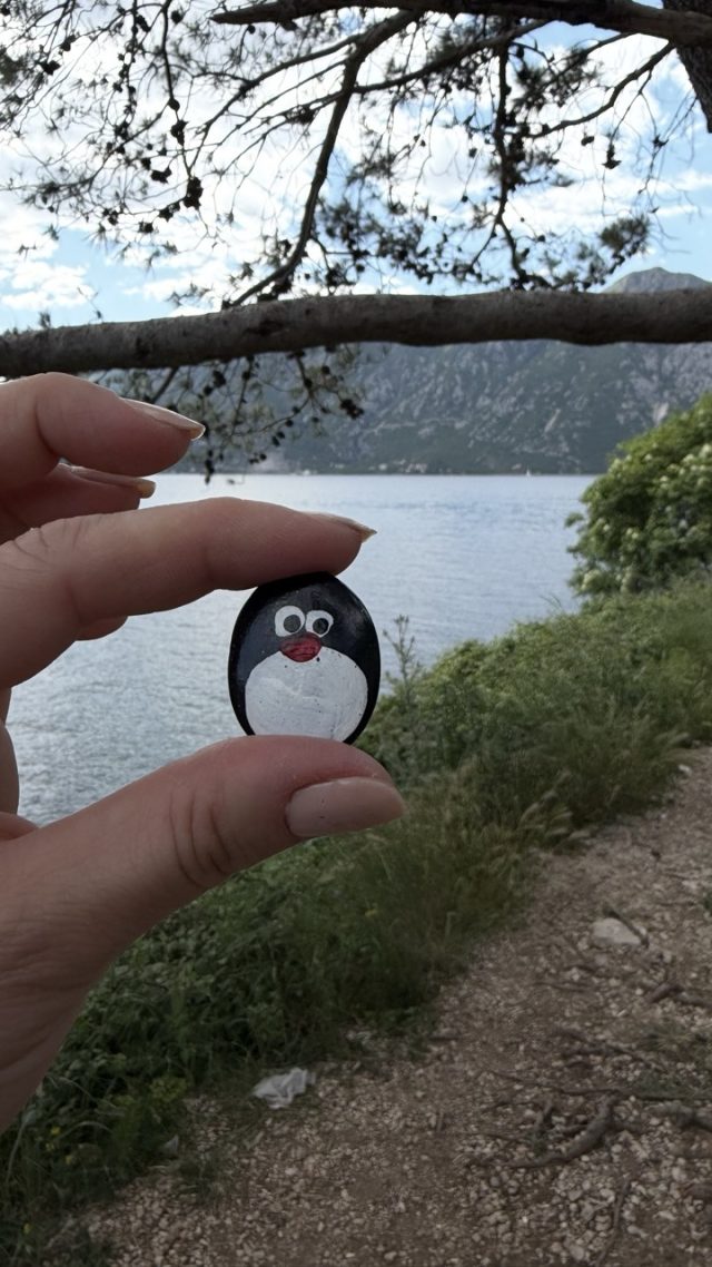 Hand-painted penguin stone #897 hidden at Tree in Parking Lot, Perast, Montenegro (photo 2 of 5)