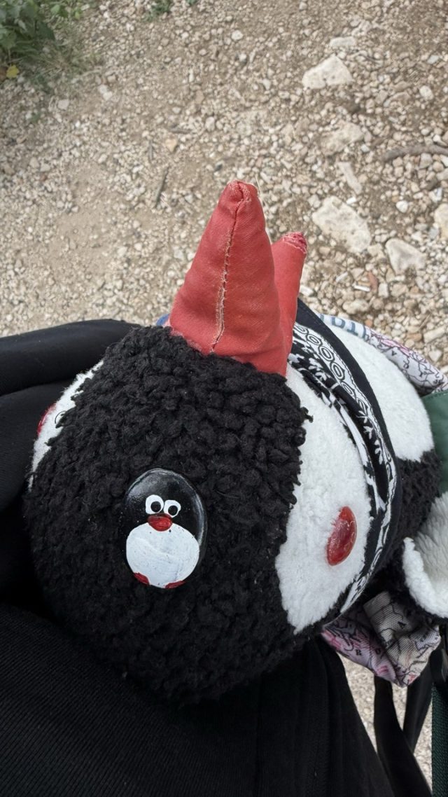 Hand-painted penguin stone #897 hidden at Tree in Parking Lot, Perast, Montenegro (photo 3 of 5)