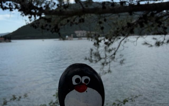 Hand-painted penguin stone #897 hidden at Tree in Parking Lot, Perast, Montenegro