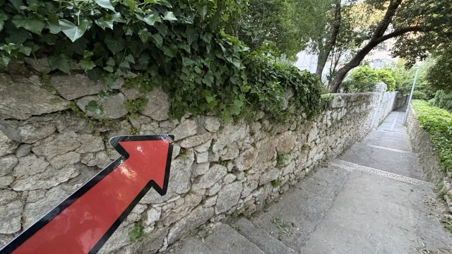 Hand-painted penguin stone #901 hidden at Dubrovacki Stone Wall, Dubrovnik, Croatia (photo 5 of 5)