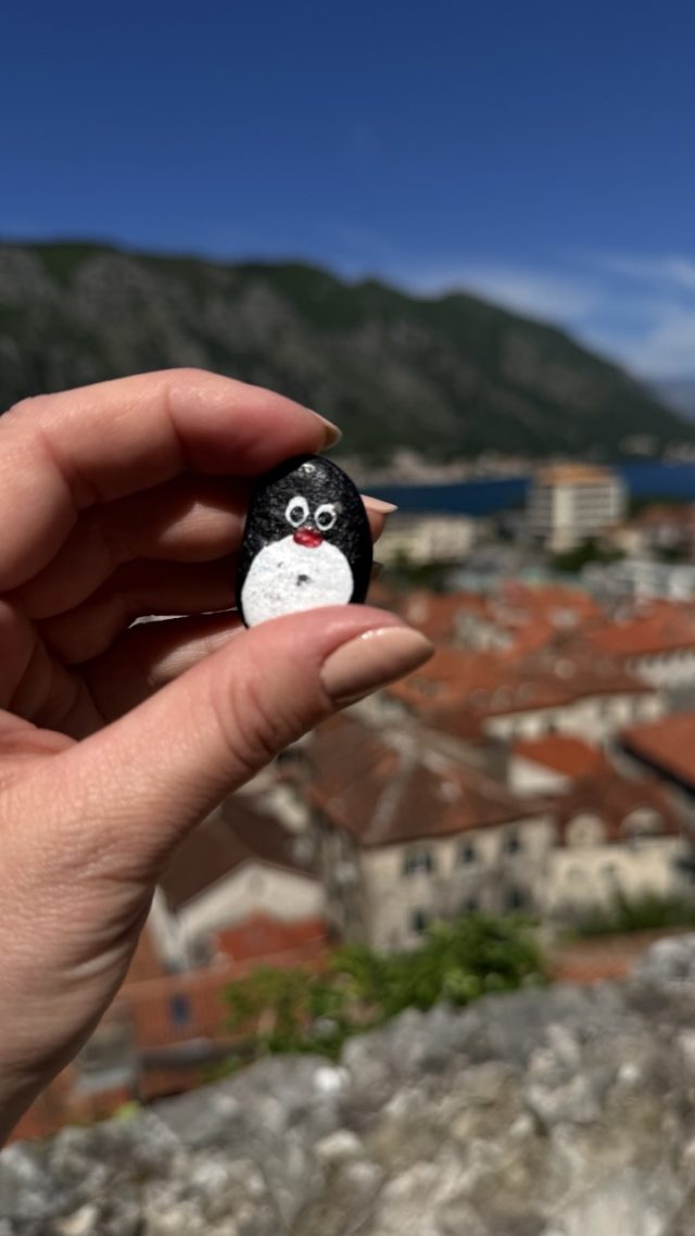 Hand-painted penguin stone #902 hidden at Guardian Cat Viewpoint, Kotor, Montenegro (photo 2 of 5)