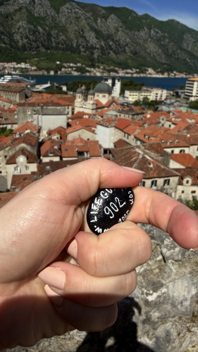 Hand-painted penguin stone #902 hidden at Guardian Cat Viewpoint, Kotor, Montenegro (photo 3 of 5)