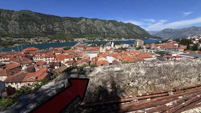 Hand-painted penguin stone #902 hidden at Guardian Cat Viewpoint, Kotor, Montenegro (photo 5 of 5)