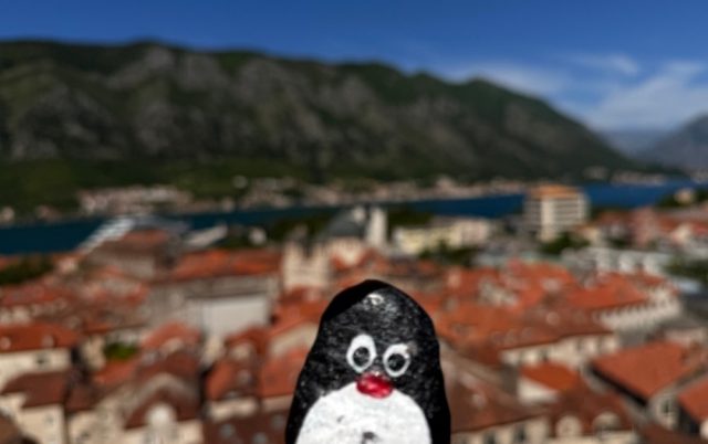Ručne maľovaný tučniakový kameň č. 902 ukrytý na mieste Guardian Cat Viewpoint, Kotor, Čierna Hora