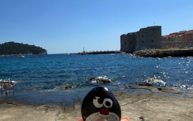 Hand-painted penguin stone #904 hidden at Port 22 Beach, Dubrovnik, Croatia