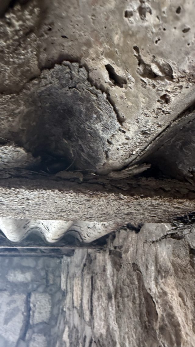 Hand-painted penguin stone #905 hidden at Top of San Giovanni, Kotor, Montenegro (photo 4 of 5)