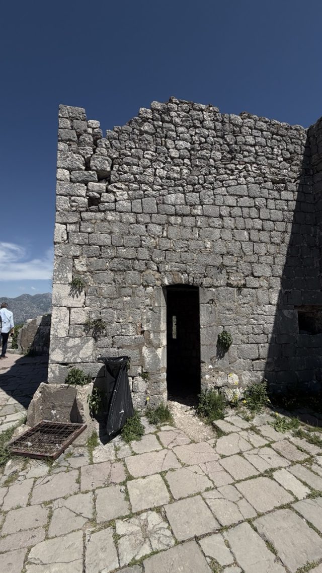 Hand-painted penguin stone #905 hidden at Top of San Giovanni, Kotor, Montenegro (photo 5 of 5)