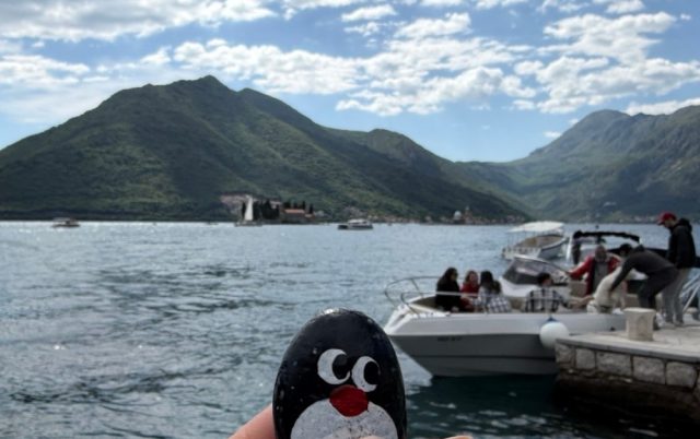 Hand-painted penguin stone #907 hidden at Bell Tower, Perast, Montenegro