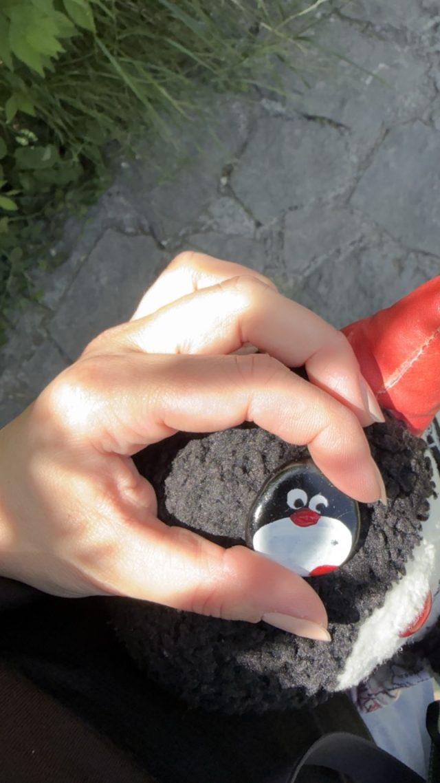 Hand-painted penguin stone #909 hidden at Stone Wall close to Crooked Bridge, Mostar, Bosnia and Herzegovina (photo 2 of 4)